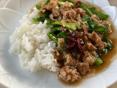 魯肉飯（ルーローハン）台湾風豚肉の煮込みかけごはん